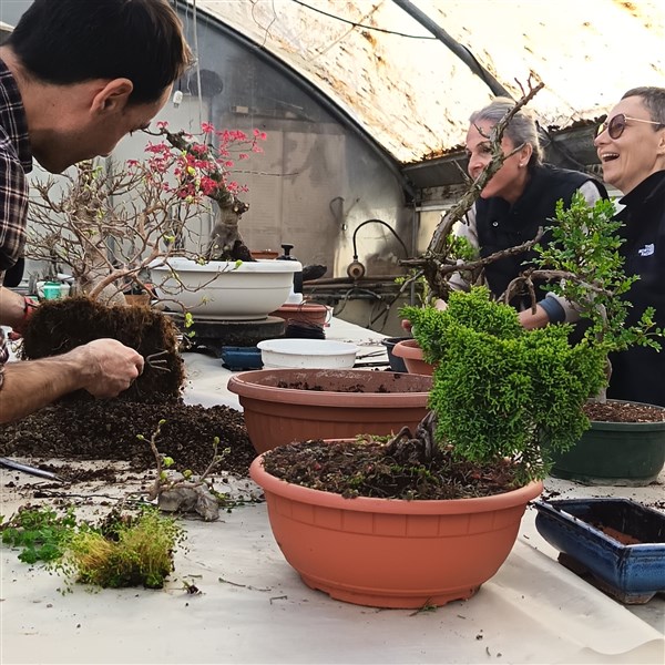 CORSO BONSAI 2 MAGGIO