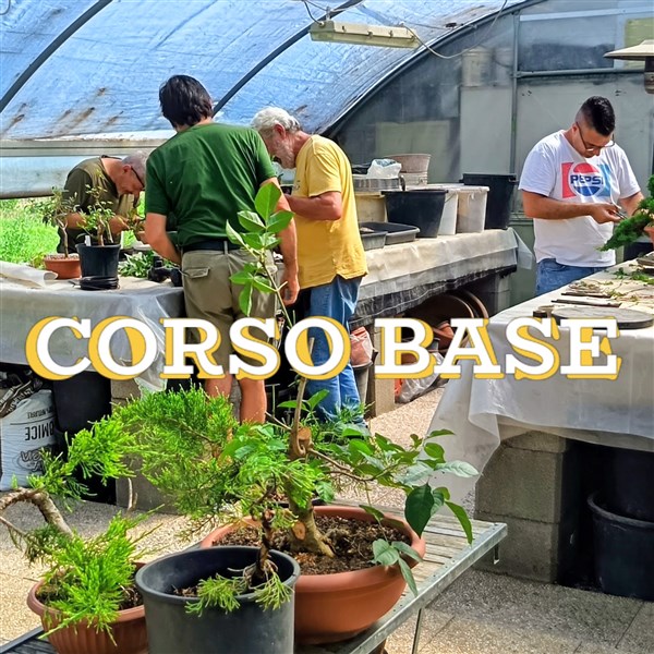 CORSO BONSAI 10 OTTOBRE
