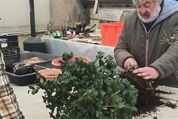 Corsi, manutenzioni, e Check-up primaverile